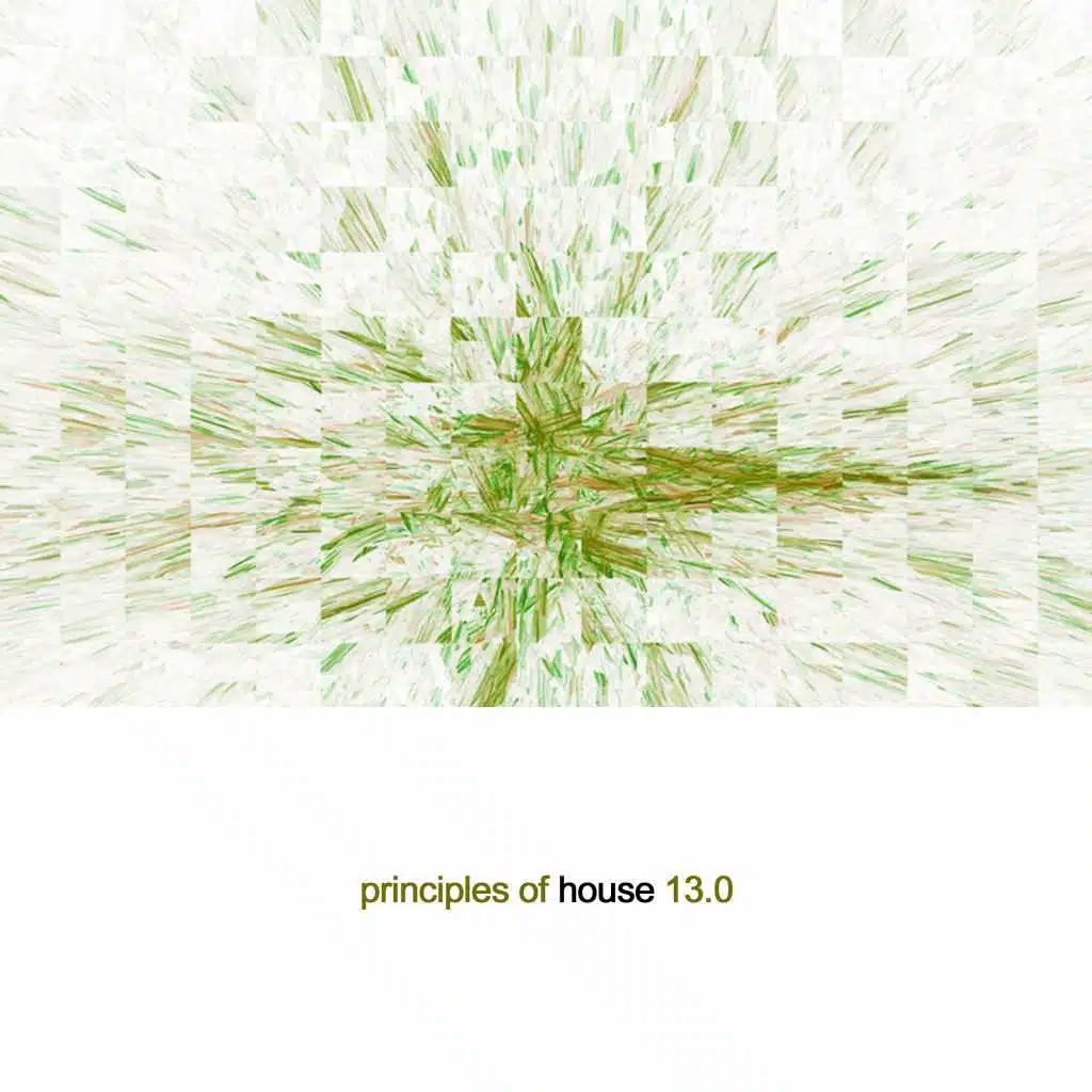 Principles of House, Vol. 13
