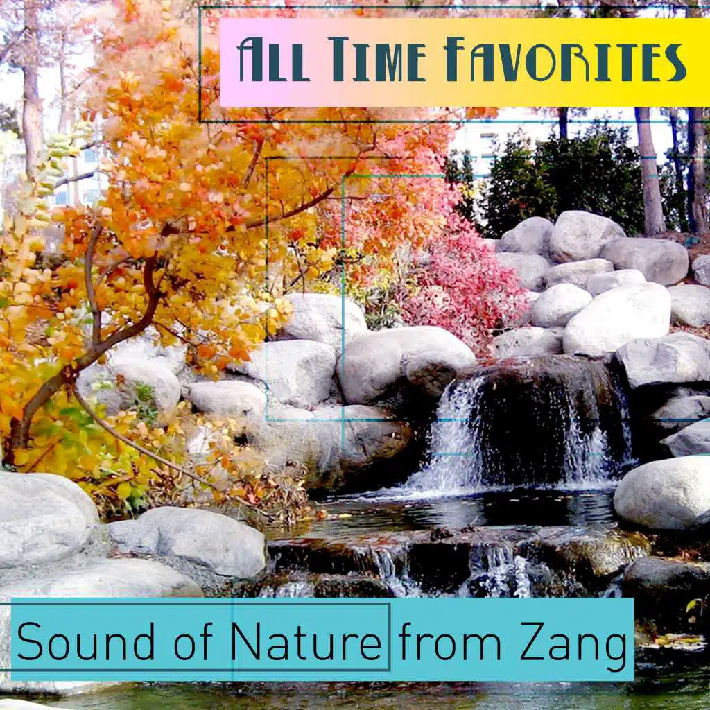 Sound of Nature from Zang