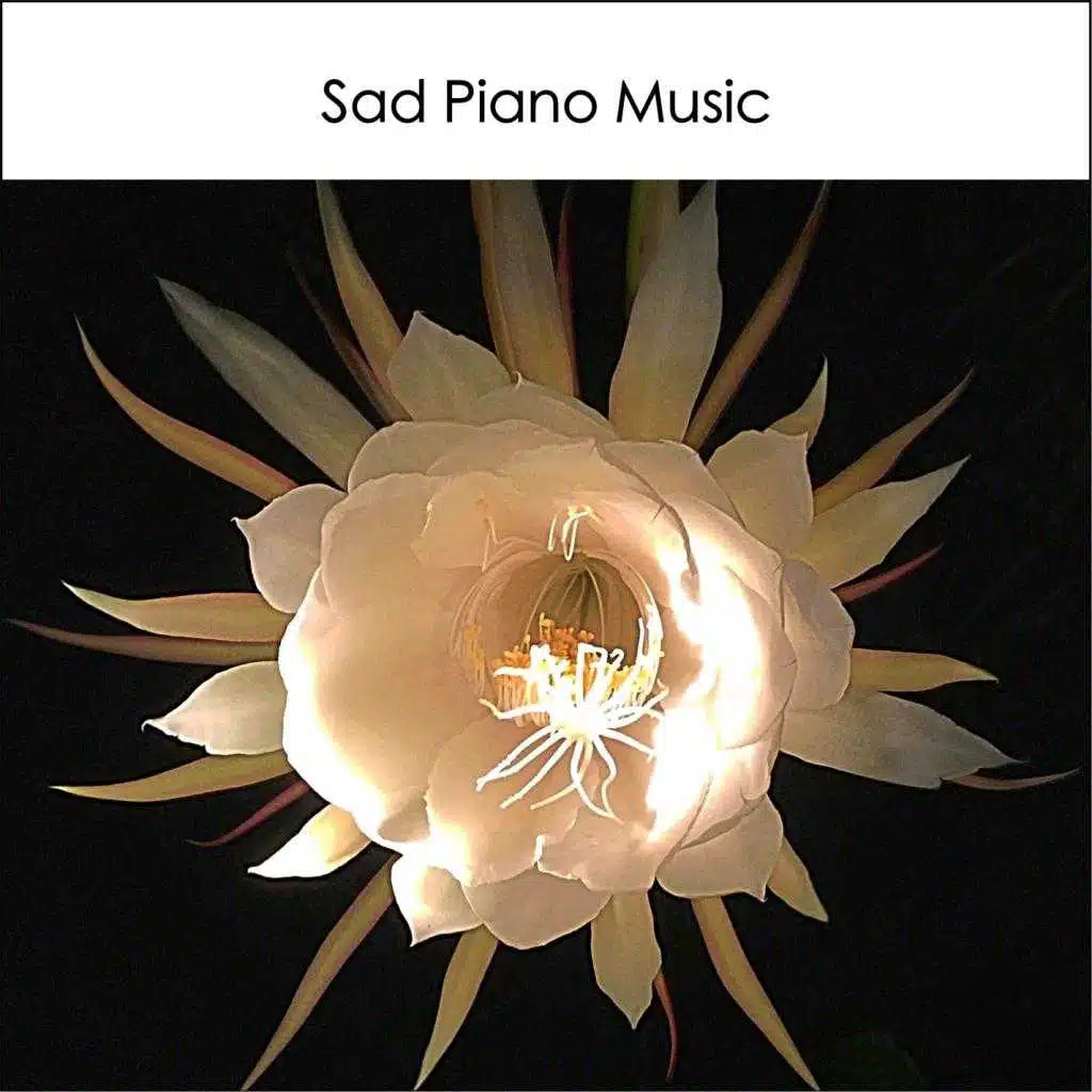Sad Piano Music Instrumental Collective Australia