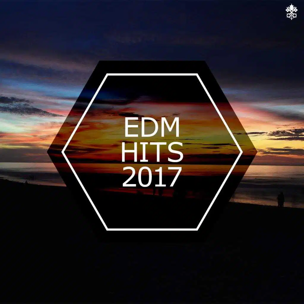 EDM Hits 2017 (feat. Iam Trevor & Sasha Ogletree)