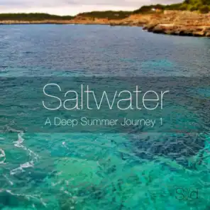 Saltwater - A Deep Summer Journey 1