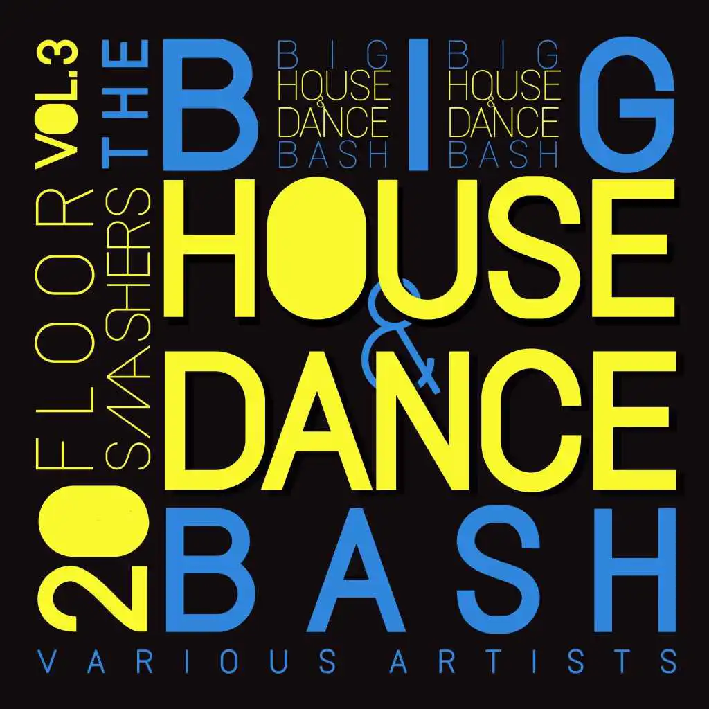 The Big House & Dance Bash, Vol. 3 (20 Floor Smashers)