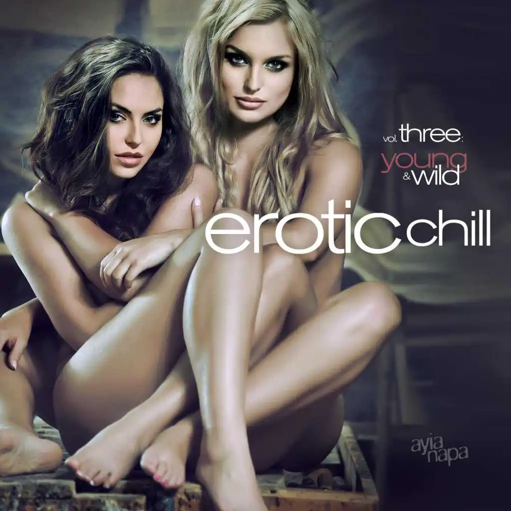 Erotic Chill Vol. 3