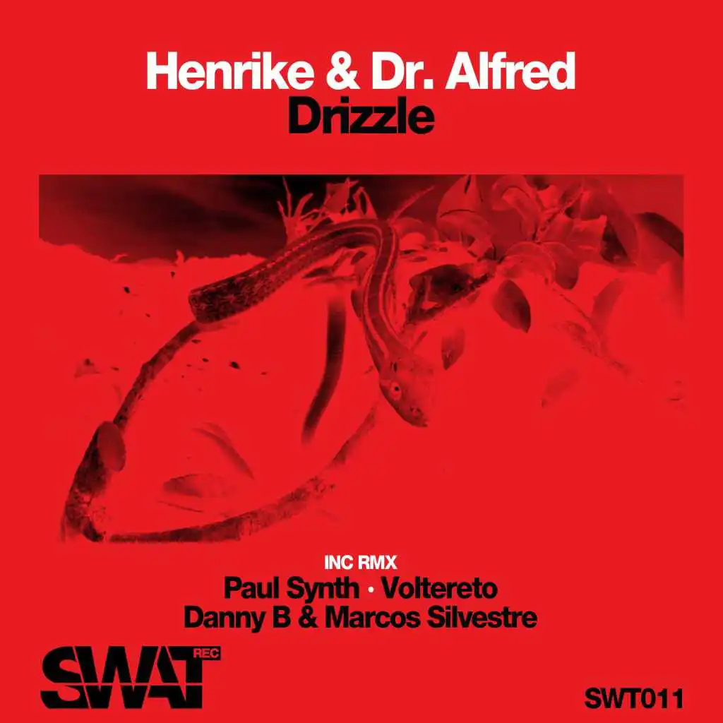 Drizzle (Danny B & Marcos Silvestre Remix)