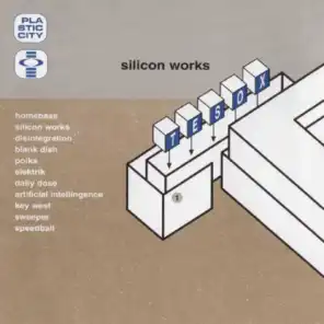 Silicon Works