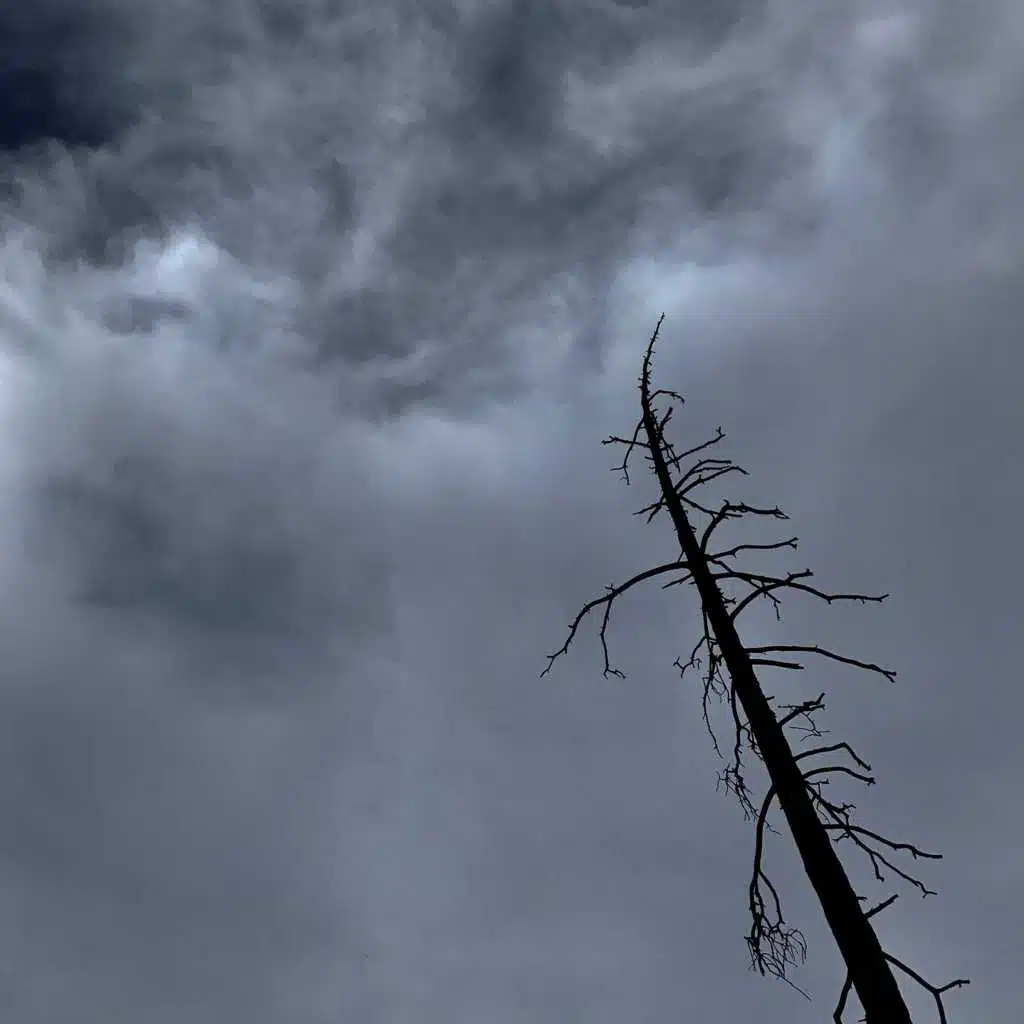 Homesick for a Place I Never Knew