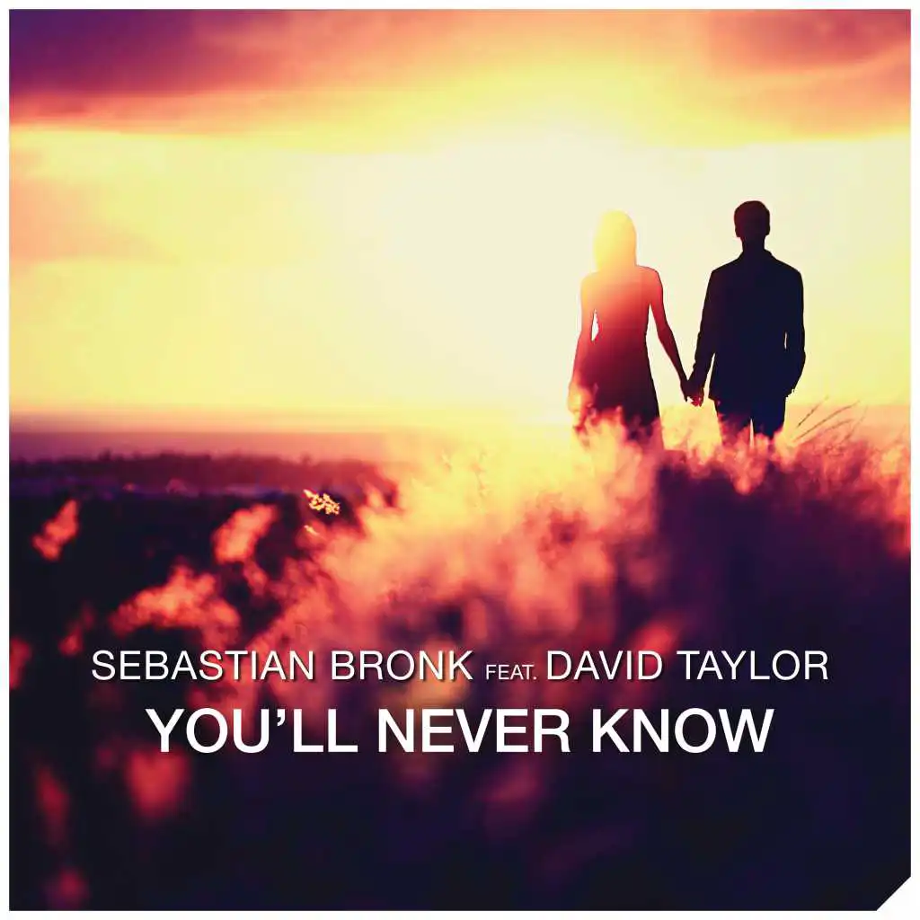 You'll Never Know (Radio Edit) [feat. David Taylor]