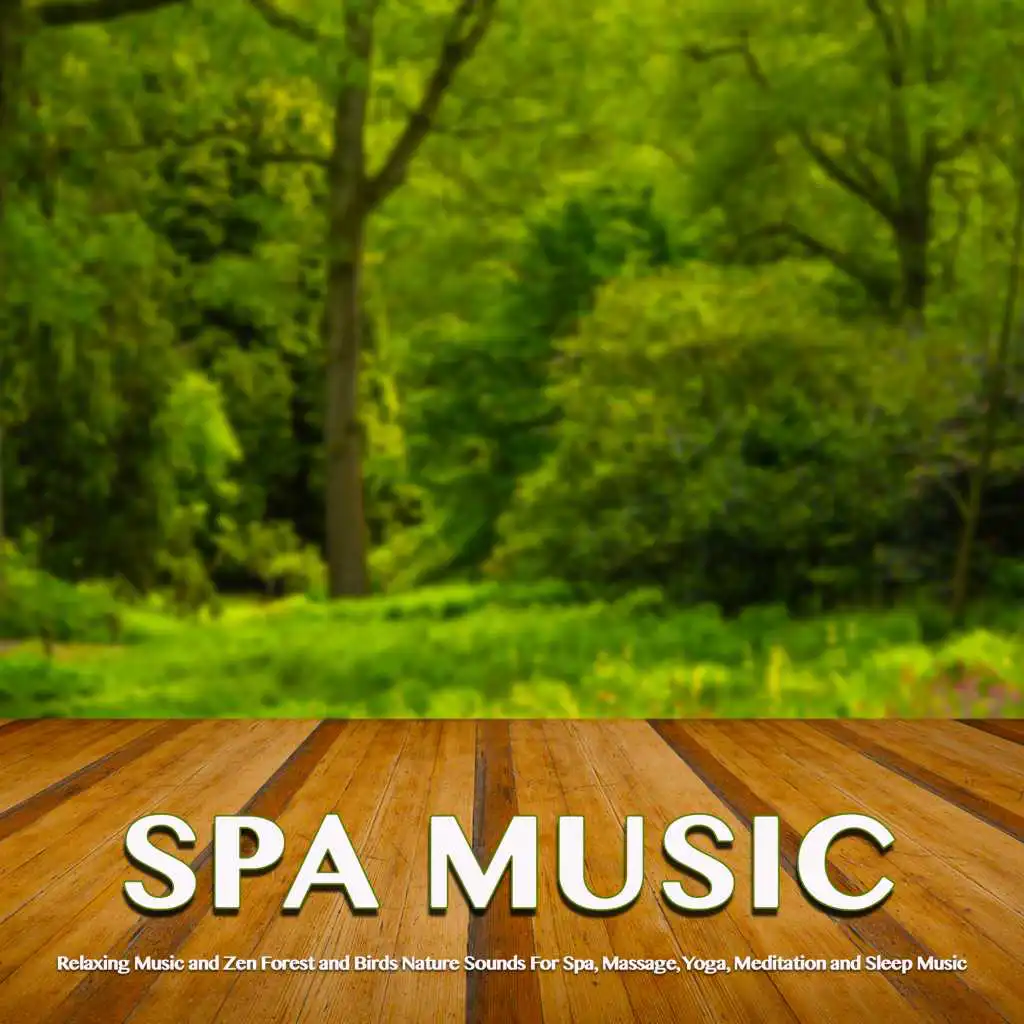 Spa, Spa Music Relaxation, Sleeping Music