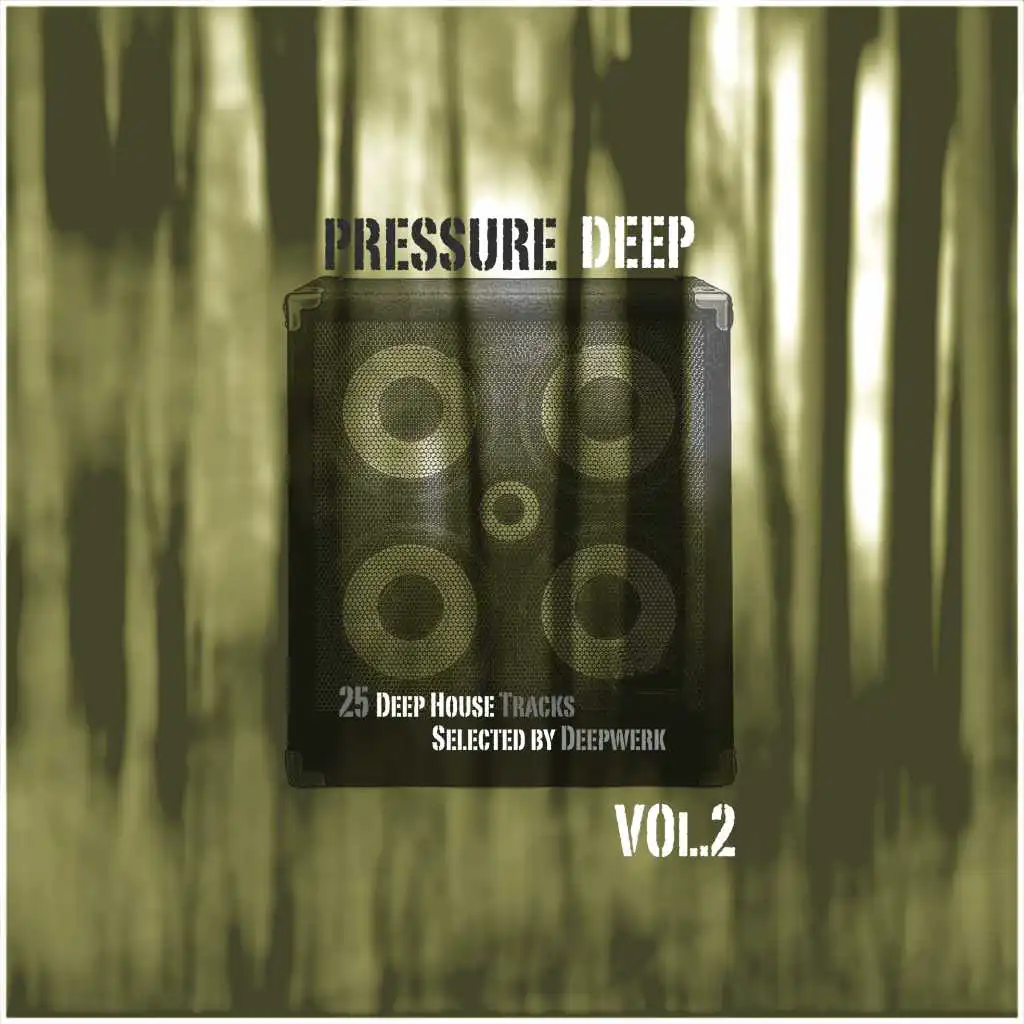 Pressure Deep, Vol. 2 (25 Deep House Tracks Selected By Deepwerk)