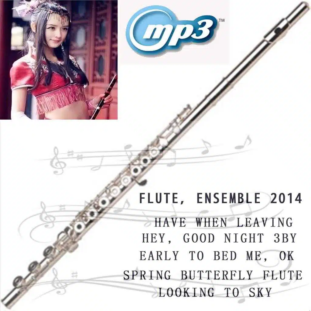 Flute, Ensemble 2014