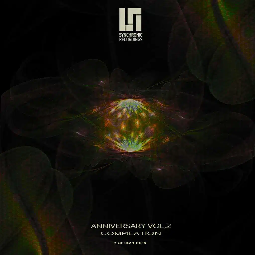 Anniversary Compilation Vol.2