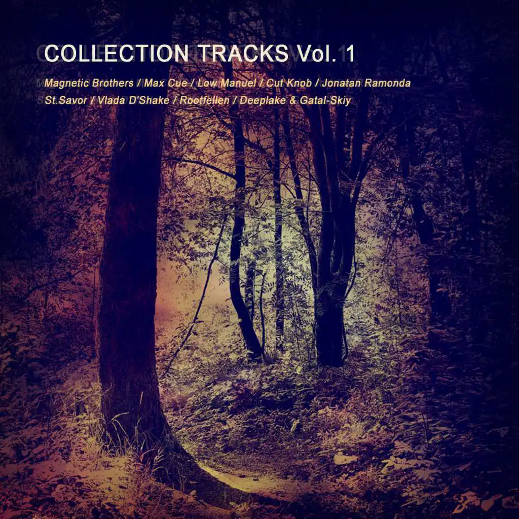 Collection Tracks, Vol. 1