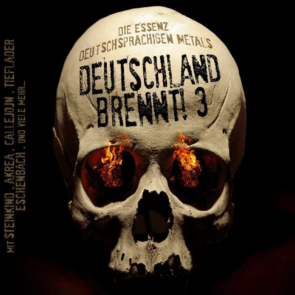 Deutschland Brennt Vol. 3