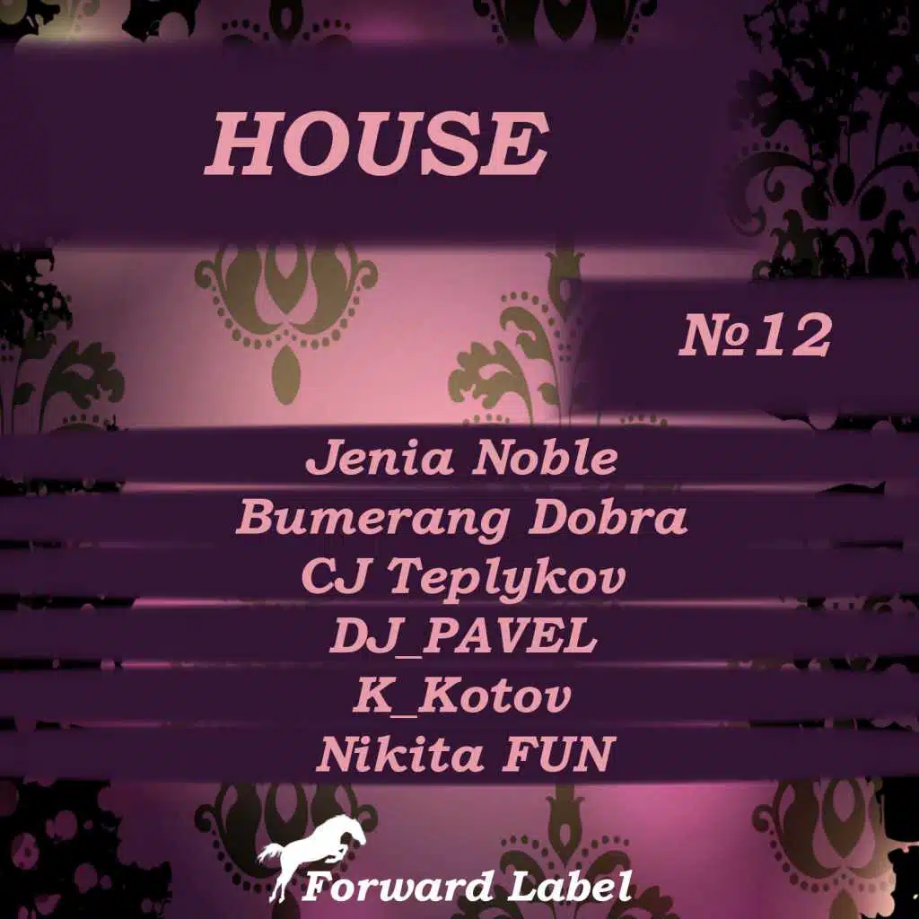 House N.12