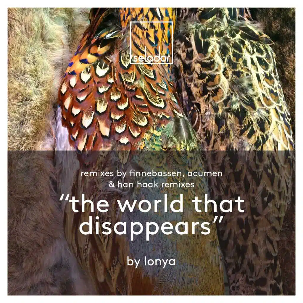 The World That Disappears