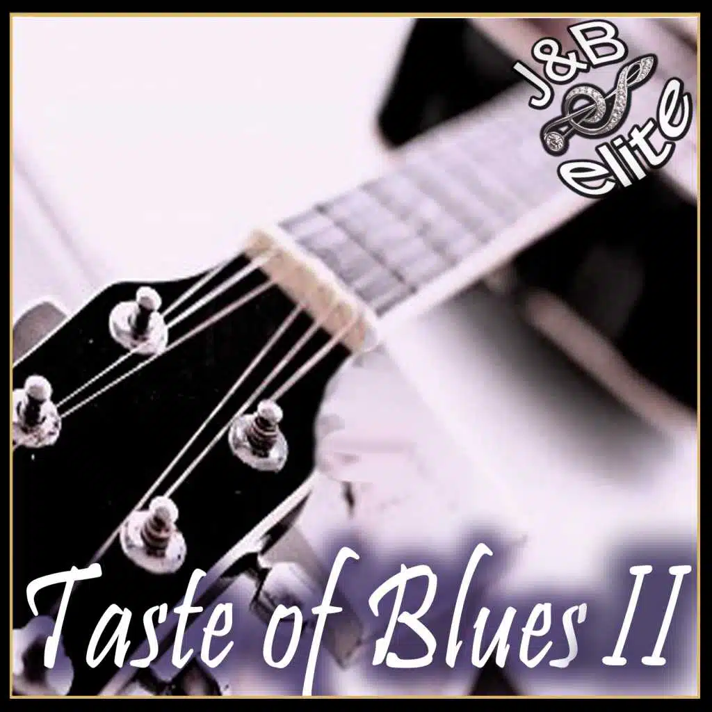 Taste Of Blues II