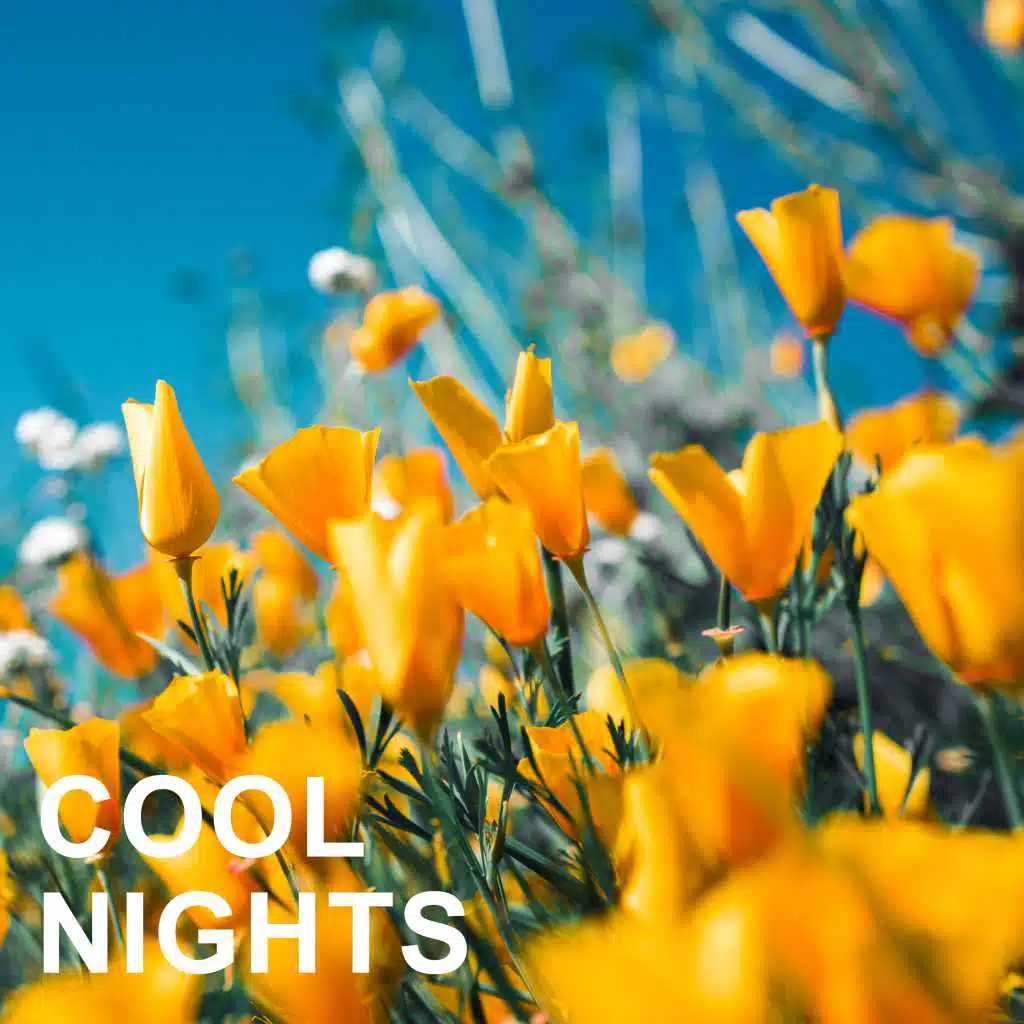 My Resistance Is Low