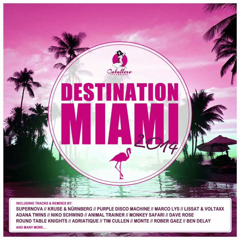 Destination: Miami 2014