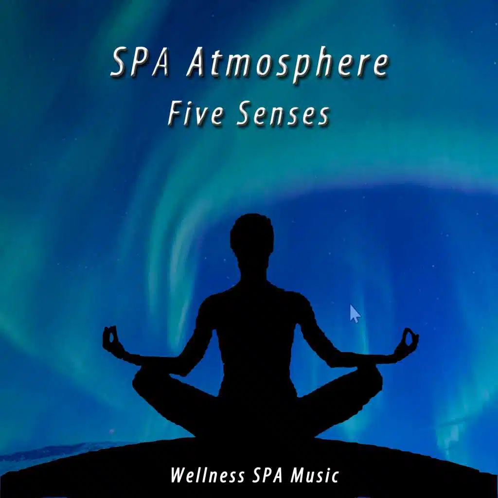 Five Senses