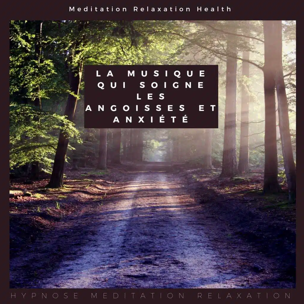 La musique qui soigne les angoisses et anxiété (Meditation Relaxation Health)