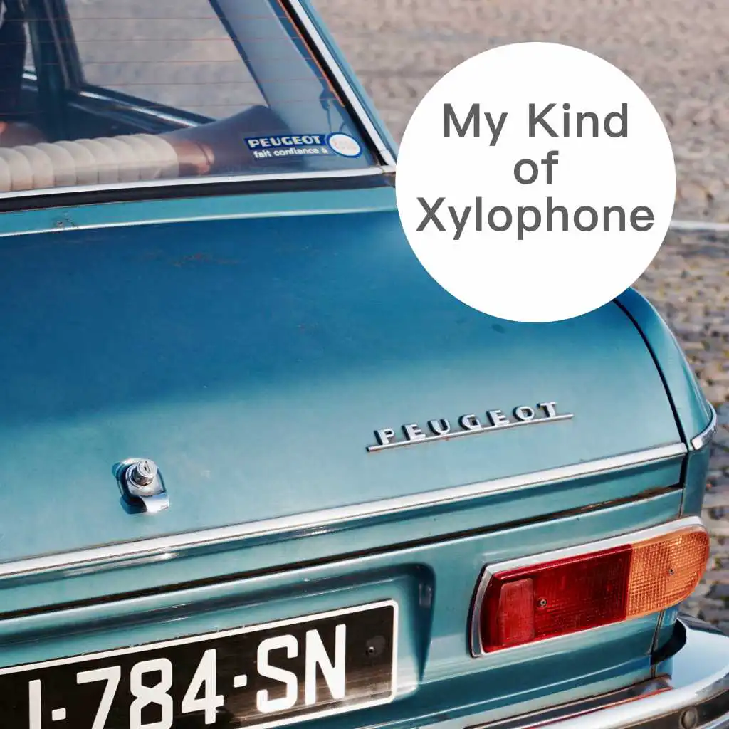 My Kind of Xylophone