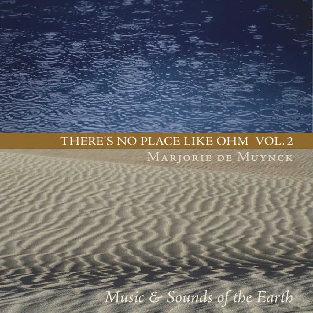 There's No Place Like Ohm Volume 2