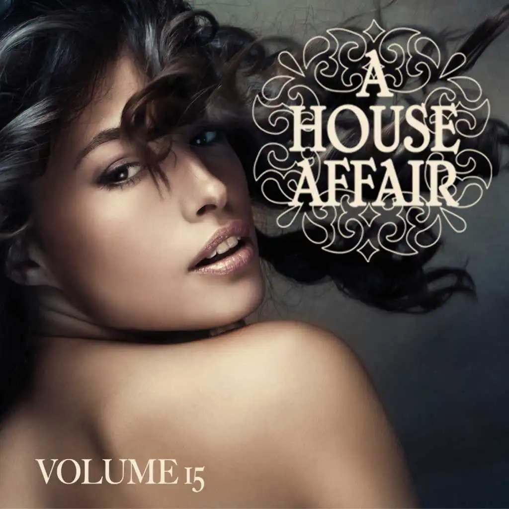 A House Affair, Vol. 15