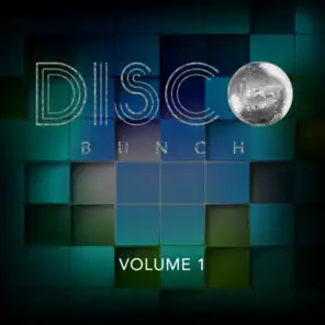 Disco Bunch, Vol. 1