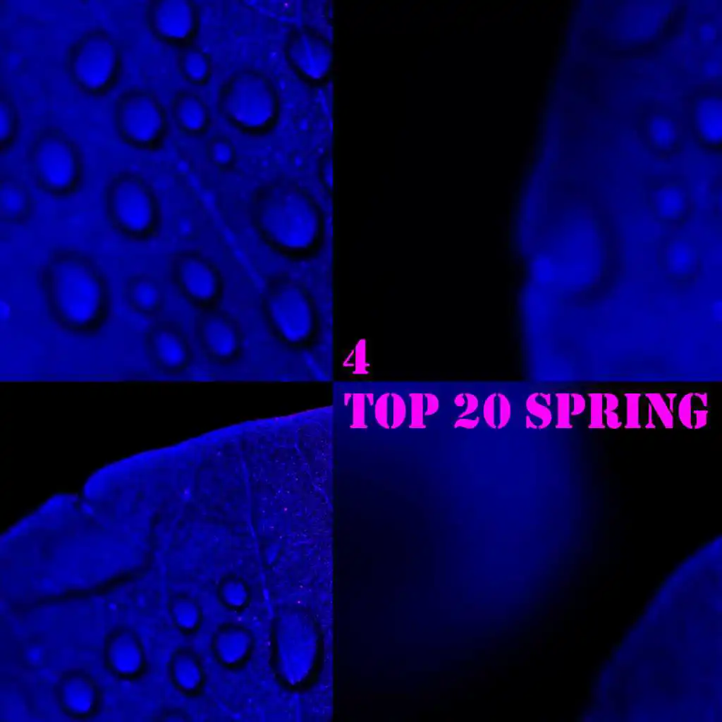 TOP 20 Spring 4