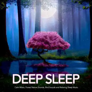 Deep Sleep: Calm Music, Forest Nature Sounds, Bird Sounds and Relaxing Sleep Music