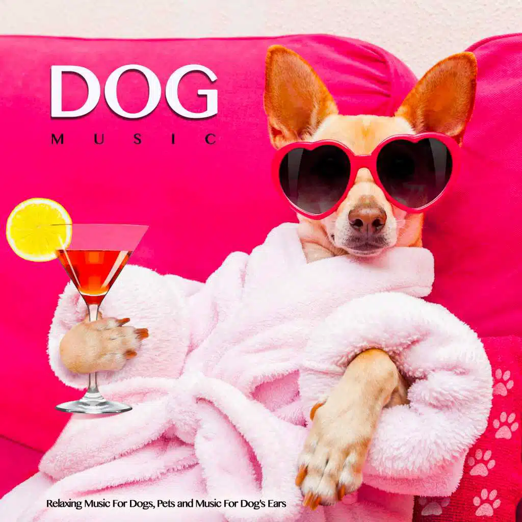 Calm Sleeping Music For Dogs