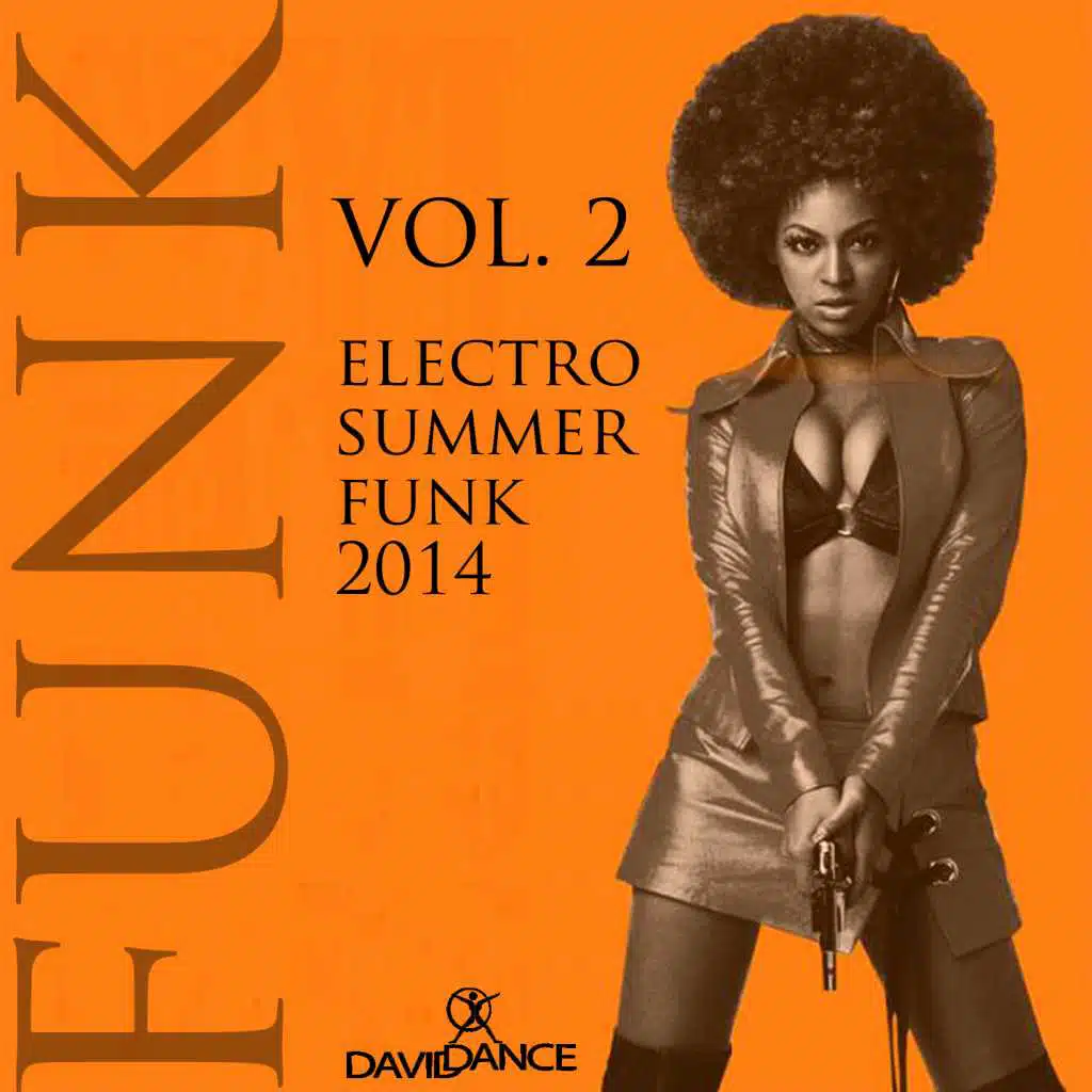 Electro Summer Funk 2014, Vol. 2