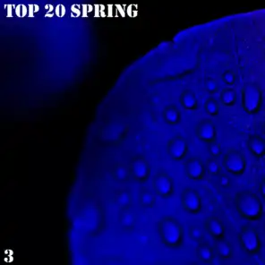TOP 20 Spring 3