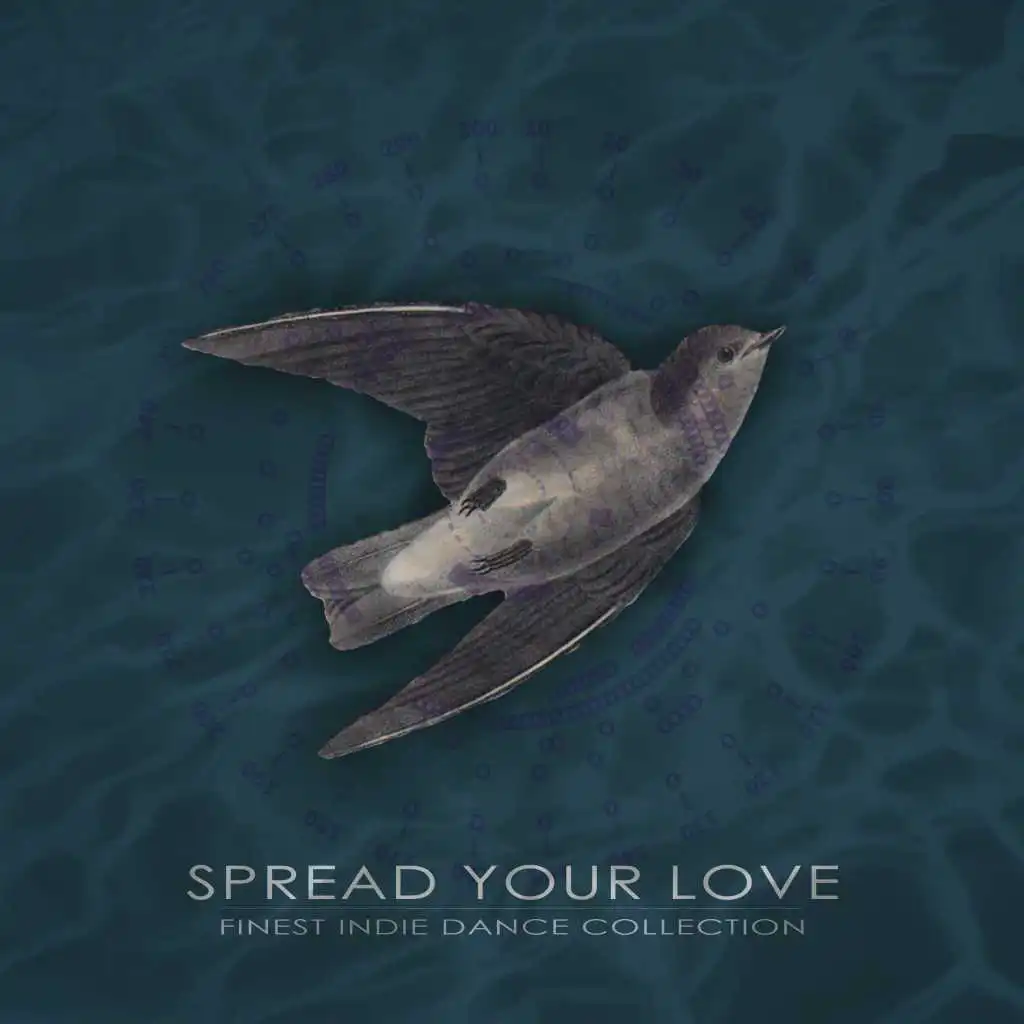 Spread Your Love