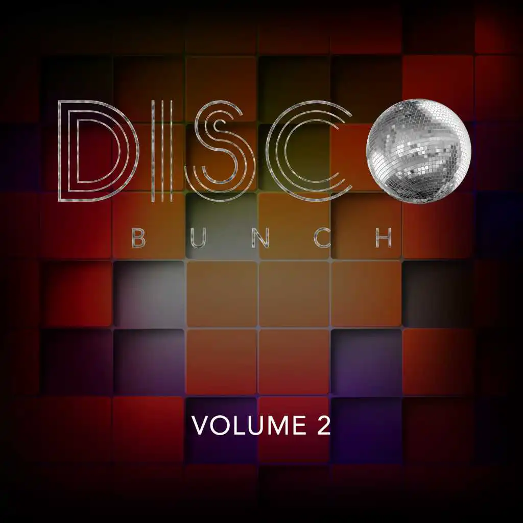 Disco Bunch, Vol. 2