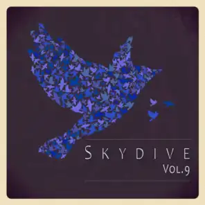 Skydive, Vol. 09