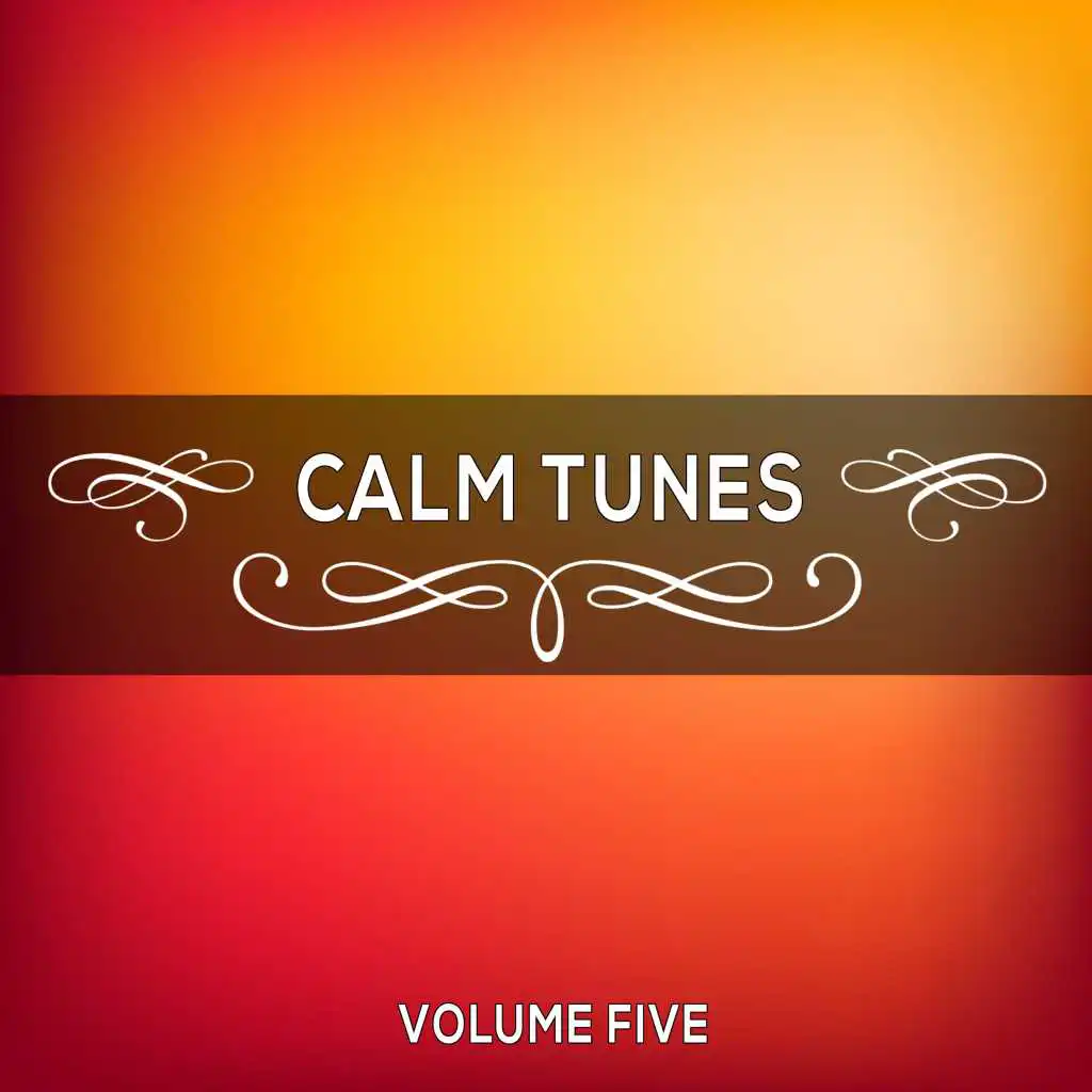 Calm Tunes, Vol. 05