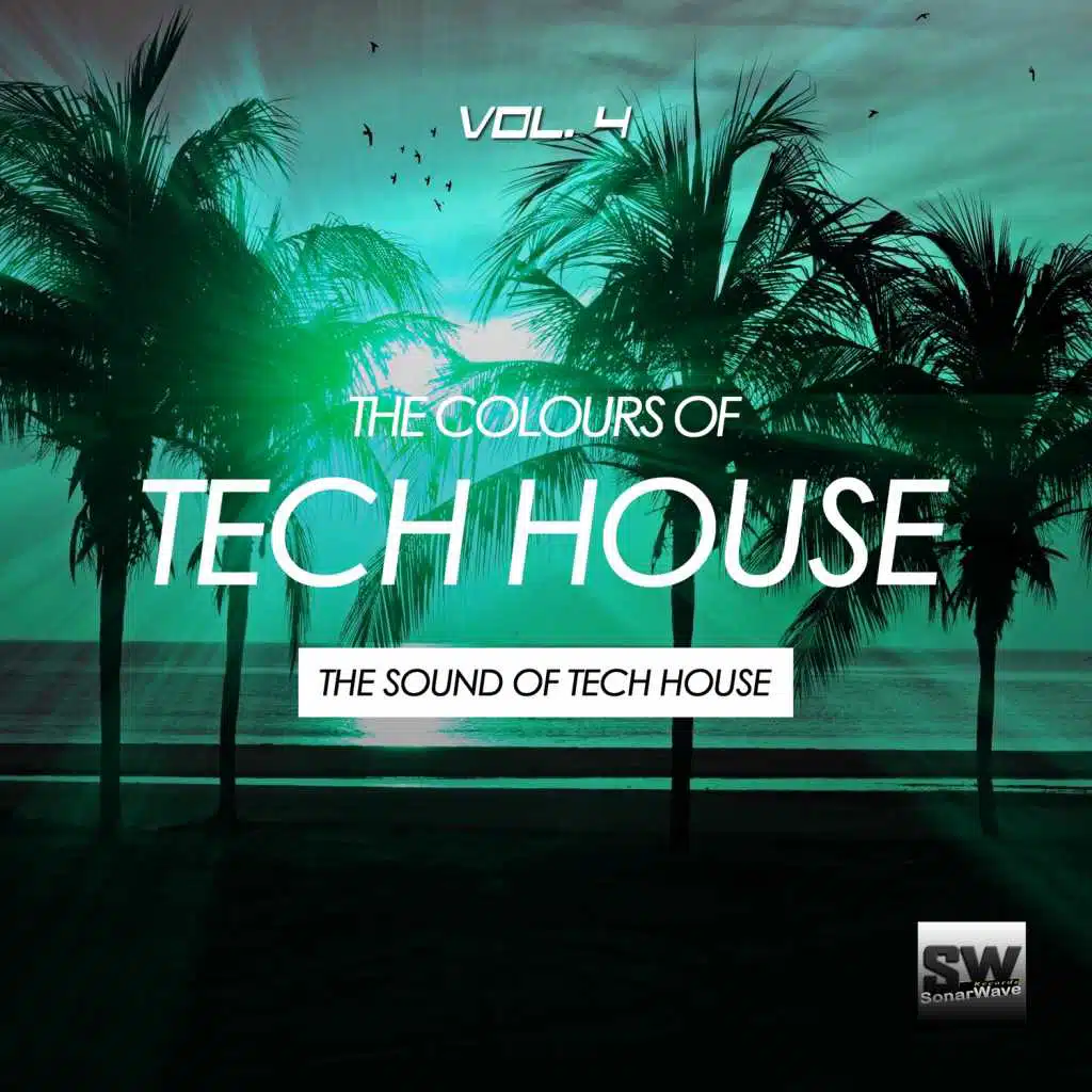 Cosmic Flow (Joe De Renzo Remix)