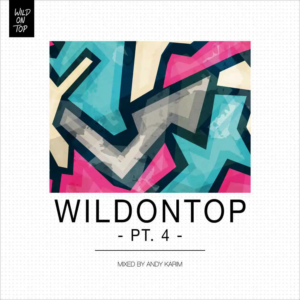 WildonTop, Pt. 4 - DJ Mix (Continuous DJ Mix)