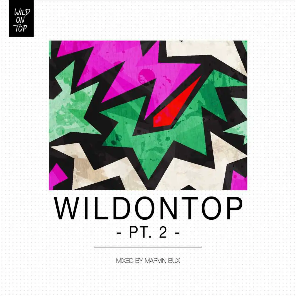 WildonTop, Pt. 2 - DJ Mix (Continuous DJ Mix)