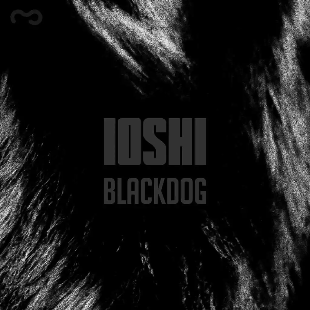 Black Dog (Paolo Baldini DuB Version)