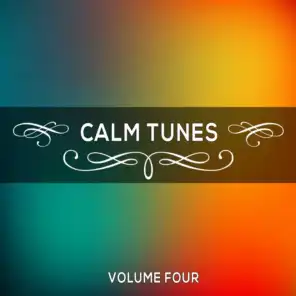 Calm Tunes, Vol. 04