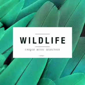 Wildlife - Unique Music Selection, Vol. 1