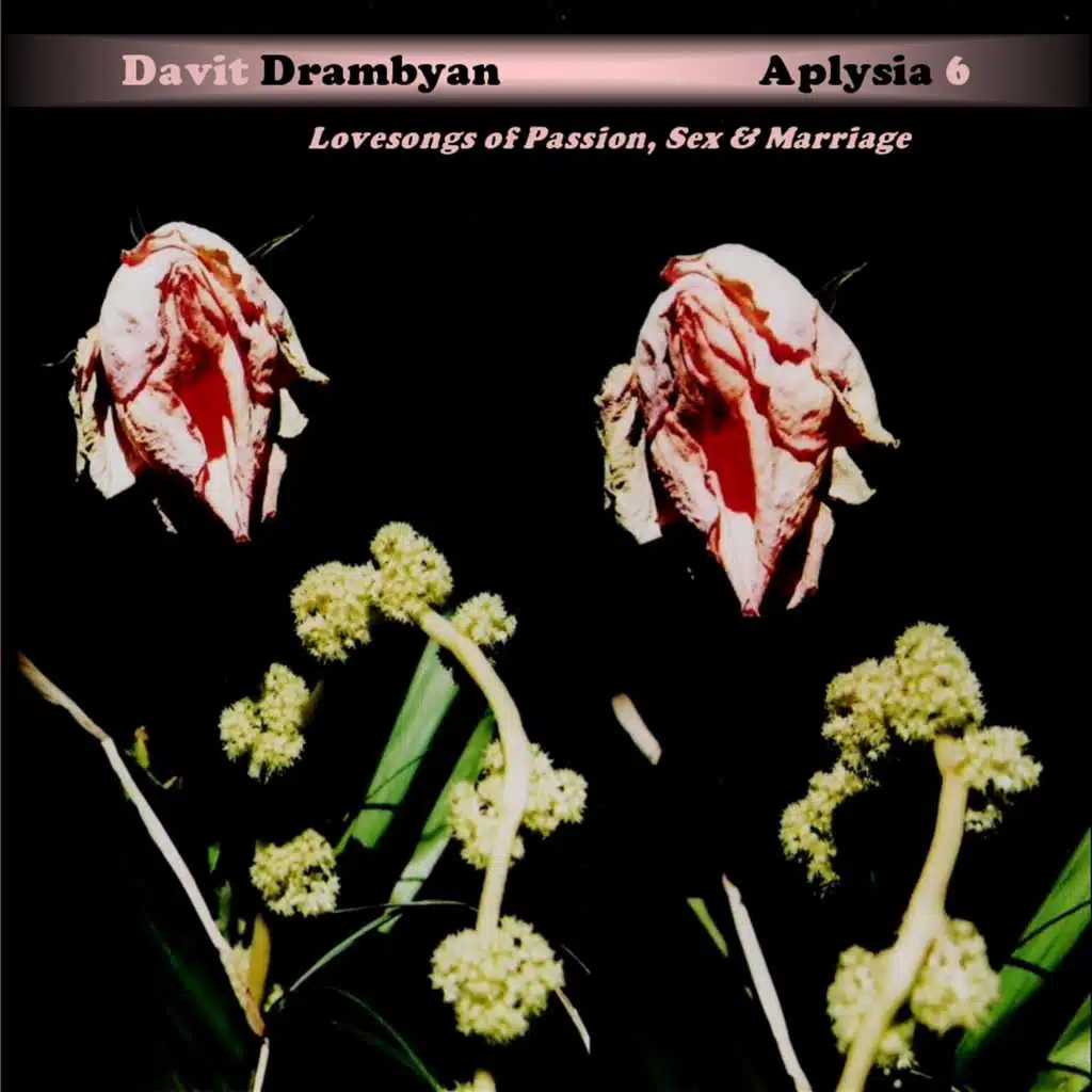 Aplysia 6: Lovesongs of Passion, Sex & Marriage