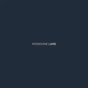 Moonshine (feat. Cian Finn)