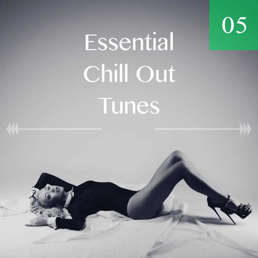 Essential Chill Out Tunes, Vol. 05