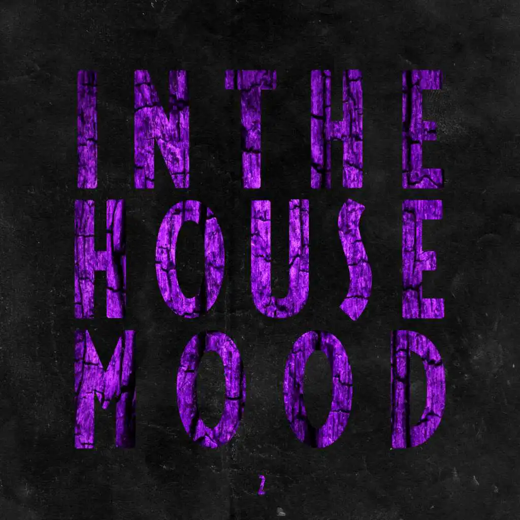 In the House Mood, Vol. 2