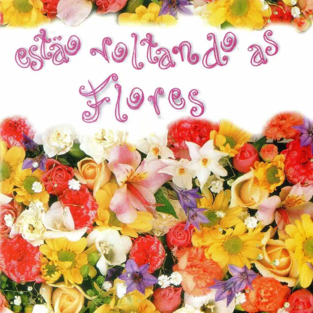 Estão Voltando as Flores