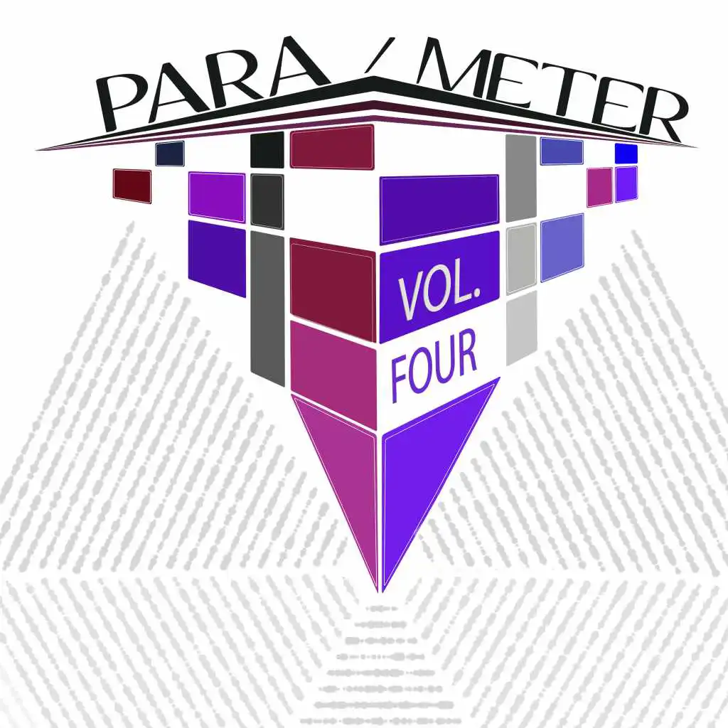 Para / Meter, Vol. 4