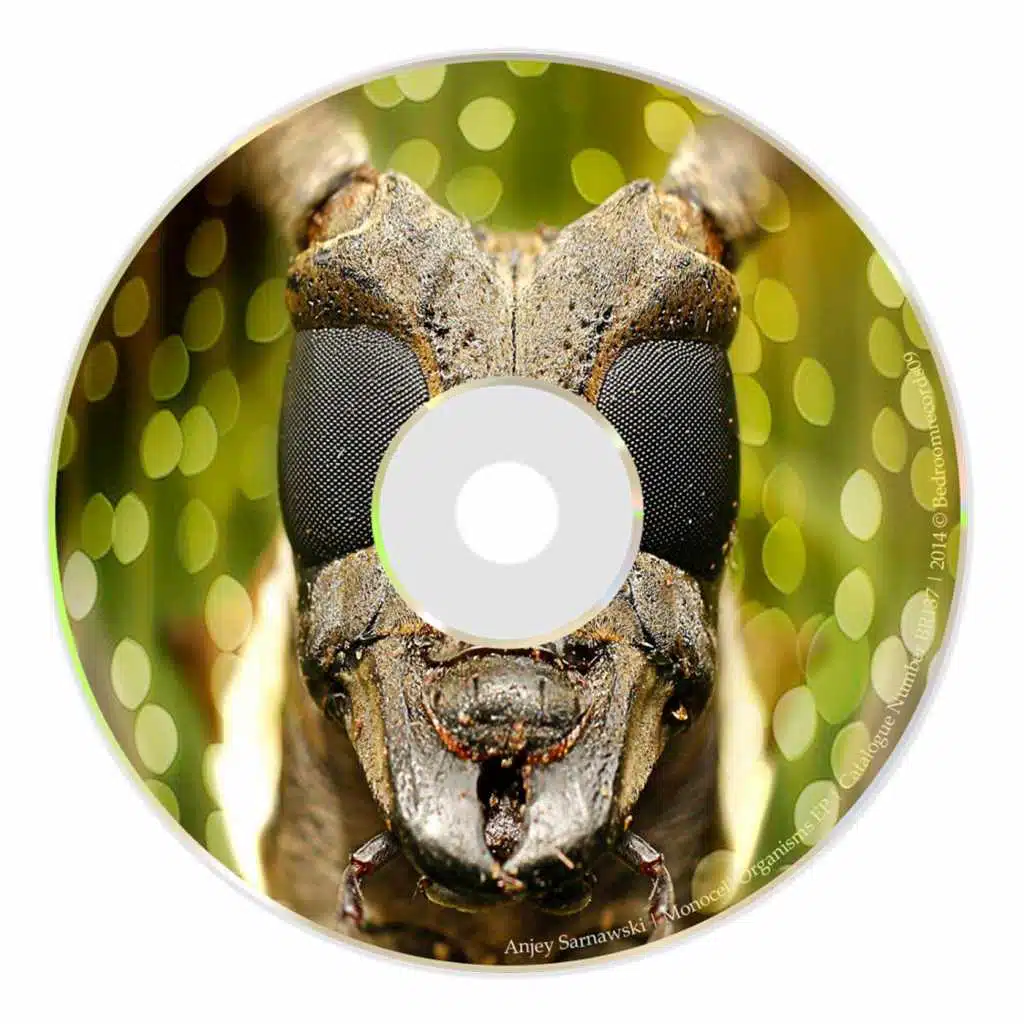 Monocell Organisms EP